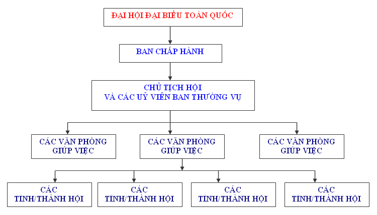 Tài liệu & Biểu mẫu